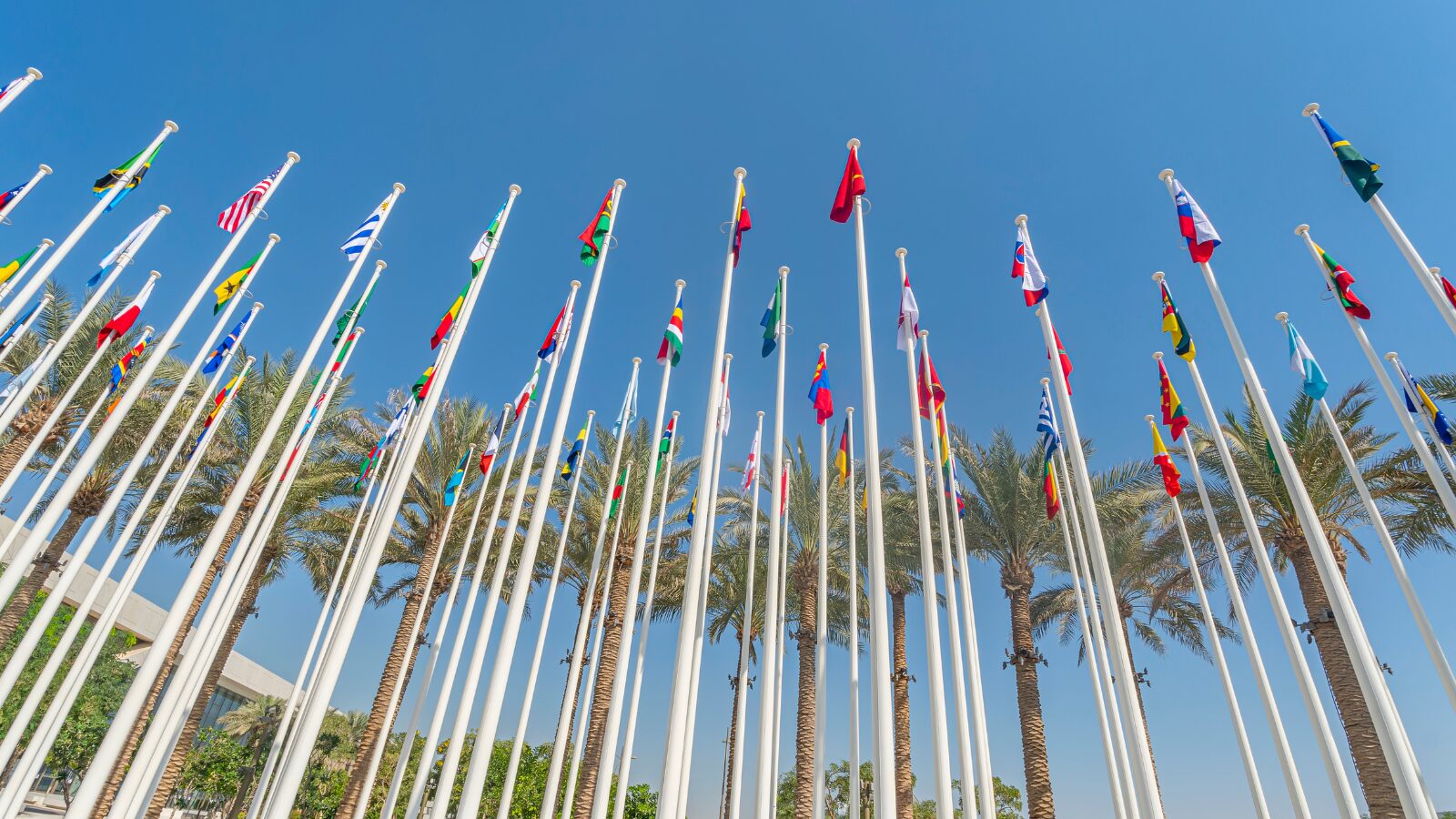 Seis instancias expertas de ONU se pronunciaron sobre situación de derechos humanos